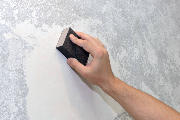 Mold Documentation for Insurance Claims in Redwood, TX