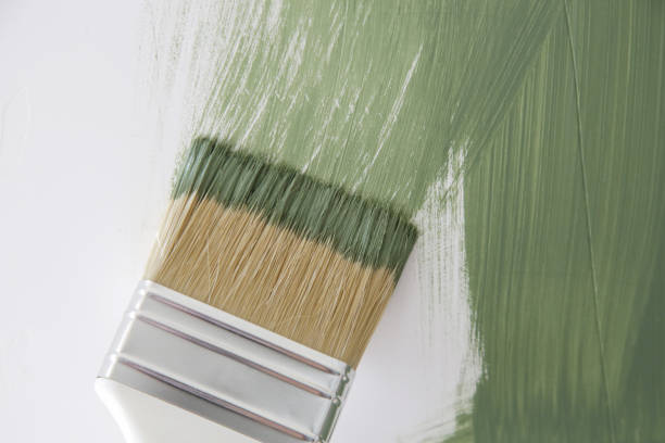 Best Mold Odor Removal Services  in Redwood, TX