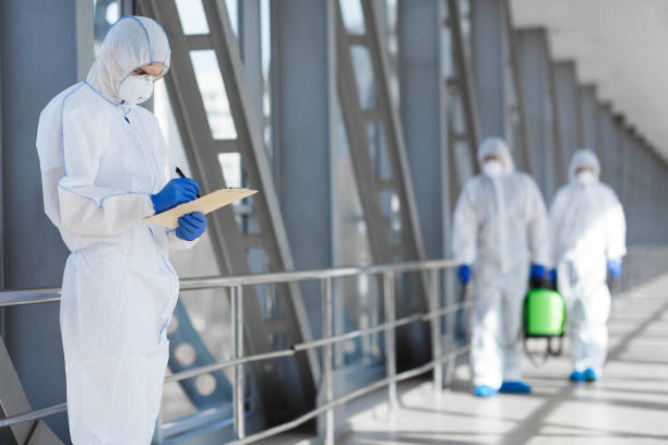 Reliable Redwood, TX Mold Removal Solutions