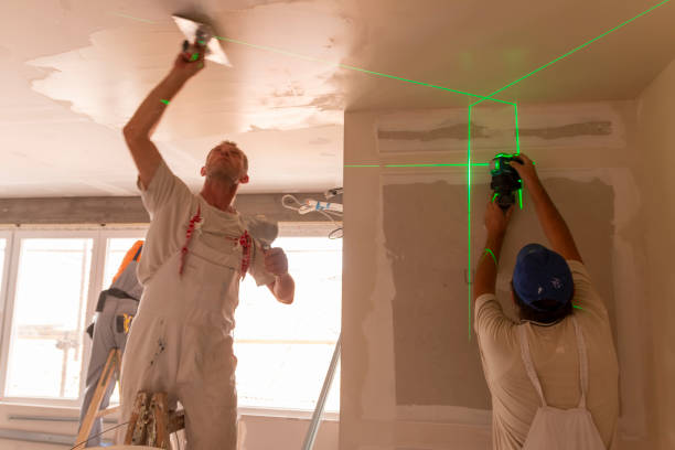 Best Mold Remediation for Rental Properties  in Redwood, TX
