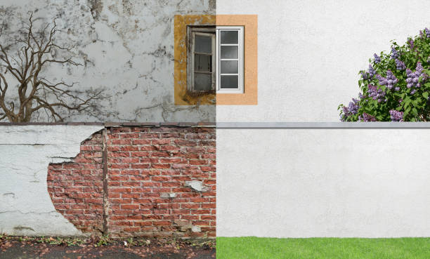 Environmental Consulting for Mold Prevention in Redwood, TX
