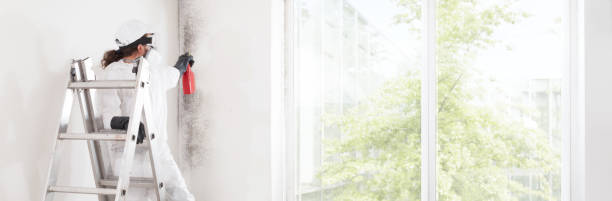 Best Mold Removal for HVAC Installations  in Redwood, TX