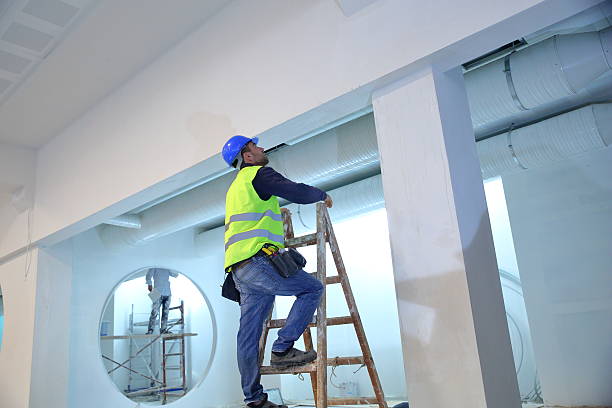 Best Forensic Mold Investigation  in Redwood, TX